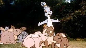 Dot and the Bunny Trailer