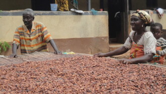 Doux-amer : cacao bio du Ghana Trailer