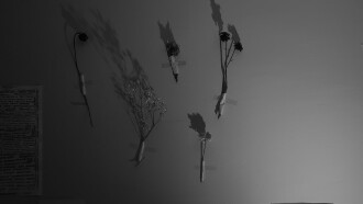 Dreams of Rotten Memories Trailer