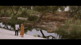 Driftwood Trailer