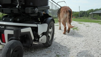 Driven to Help Trailer
