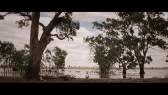 Dry Creek Trailer
