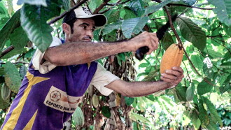 Du Chocolat Pour Sauver l'Amazonie Trailer