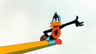 Duck Amuck Trailer