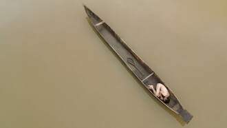 DugOut Trailer