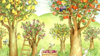 Each Peach Pear Plum Trailer