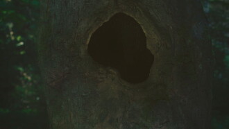 Earthen Trailer