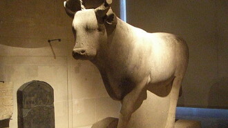 Egypt: The Treasure Of The Sacred Bulls Trailer