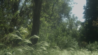 El camino Trailer