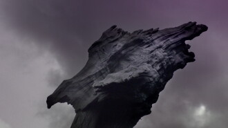 El origen de las especies Trailer