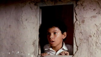 El señor de los pájaros Trailer