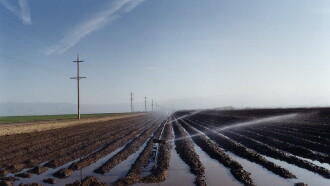 El Valley Centro Trailer