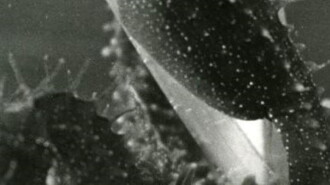 Empirical Study on the Influence of Sound on the Persistence of Vision Trailer