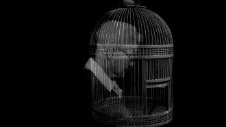 Empty Nest Trailer