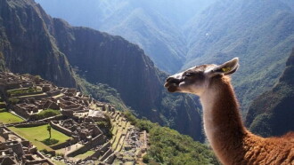 En busca de la ciudad perdida Trailer