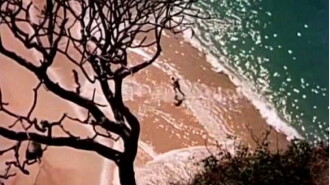 Enchanted Island Trailer