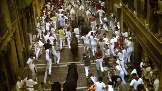 Encierro 3D: Bull Running in Pamplona Trailer