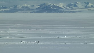 Encounters at the End of the World Trailer
