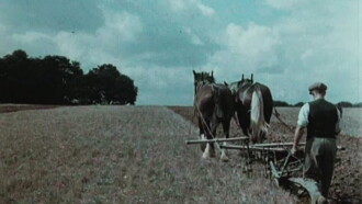 English Harvest Trailer