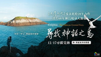 Enigma: The Chinese Crested Tern Trailer