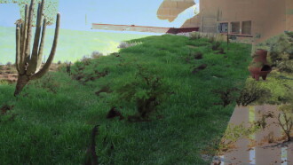 Entrance to the Grand Burial Chamber Trailer