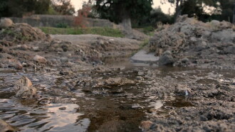 Entre memorias y barrancas Trailer