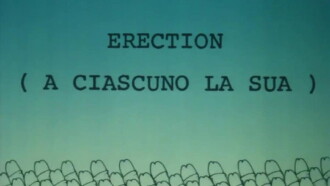 Erection Trailer