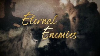 Eternal Enemies: Revealed Trailer