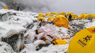 Everest Green Trailer