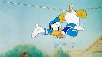 Everybody Loves Donald Trailer