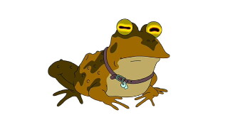Everybody Loves Hypnotoad Trailer