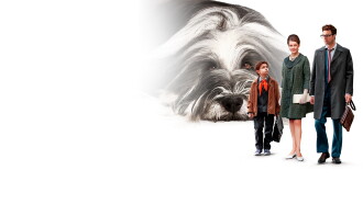 Everyone Dreams of a Dog Trailer