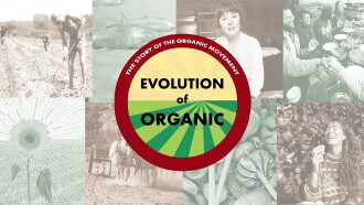 Evolution of Organic Trailer