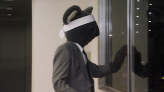 Executive Koala Trailer