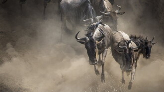 Exodus: The Great Migration Trailer
