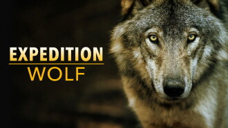 Expedition Wolf Trailer