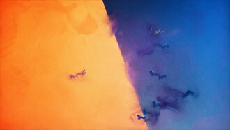 Extraction Trailer
