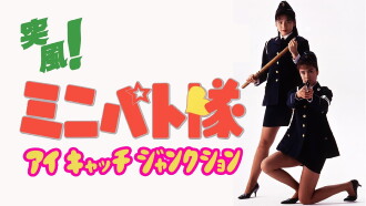 Eyecatch Junction Trailer