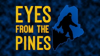 Eyes from the Pines Trailer