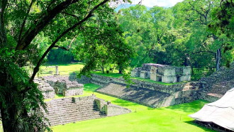 Fall Of The Maya Kings Trailer