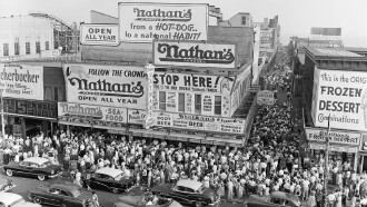 Famous Nathan Trailer