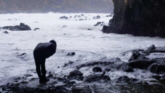 Faraway My Shadow Wandered Trailer
