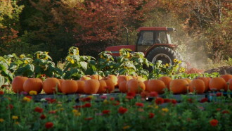 Farmageddon Trailer
