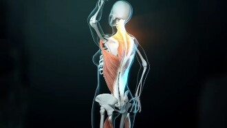 Fascinating Fasciae: The Hidden World Under Our Skin Trailer