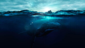 Fathom Trailer