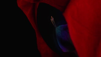 Faust Trailer