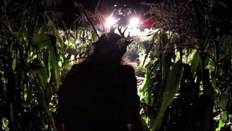Fawn Trailer
