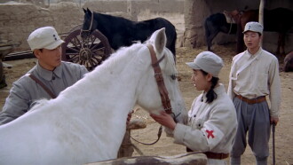 Feifei Trailer