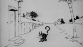 Feline Follies Trailer