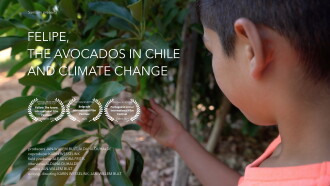 Felipe, de avocado's in Chili en klimaatverandering Trailer